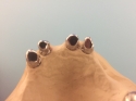 0_4790940_160655.jpg